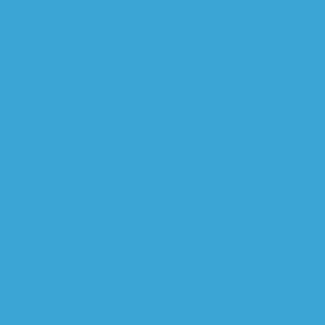 Solid Color bright blue Pantone 6120C Ultra-Steady - PS04-06