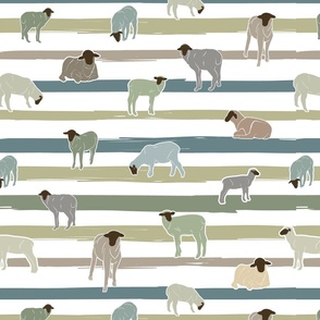 Sheep and stripes 