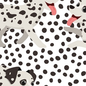 Jumbo Dalmation Pups with Black and White Spotted Fur Playing on Black Spotted Background 