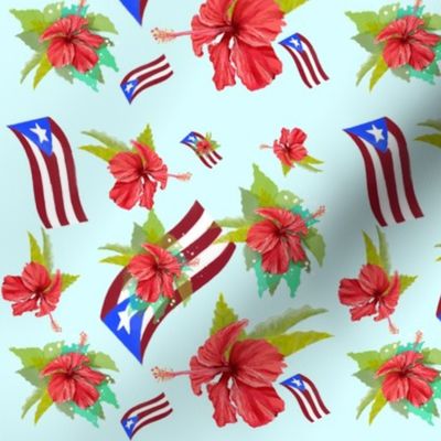 Puerto Rico Pride: Tropical Flor de Maga & Flag design