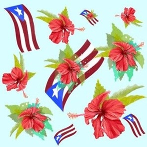 Puerto Rico flag with flor de maga