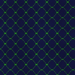 Green trellis frames on dark navy