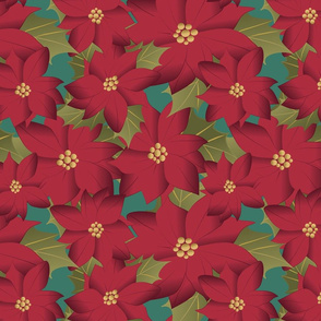 Poinsettia on teal