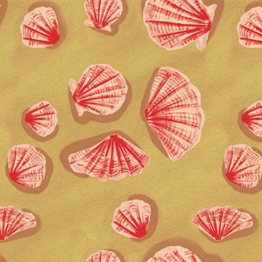 shells