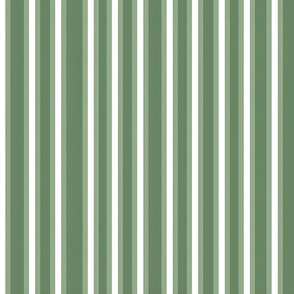 Green & White Stripes