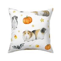 Guinea Pig Halloween with bats and pumpkins on white - large scale