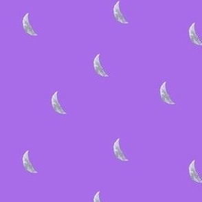 Crescent Moon Coordinate // Lilac