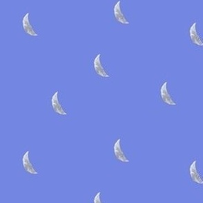 Crescent Moon Coordinate // Periwinkle