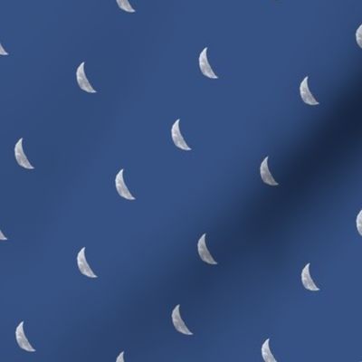 Crescent Moon Coordinate // Soft Blue