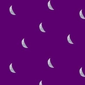 Crescent Moon Coordinate // Eggplant