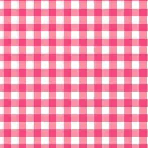 Country Girl Gingham