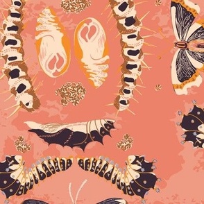 Moths, butterflies, caterpillars, and bugs -Large Scale -  Gold and Black on Textured Coral Pink with orange