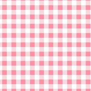Country Girl Light Pink Gingham