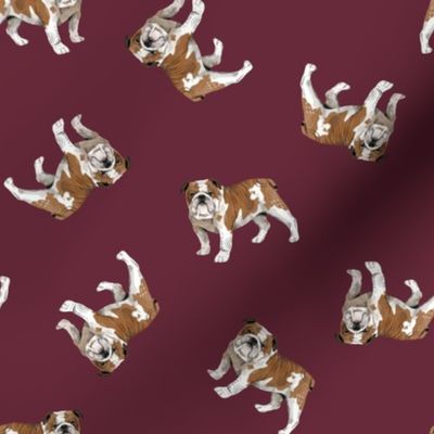 English Bulldogs - Small - Scattered on Maroon