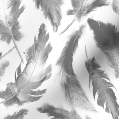 muted raven feathers - small