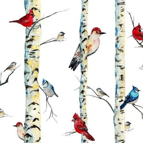 Birch trees & Winter Birds Painted in Watercolor - Cardinals Blue jays Chickadees Red Bellied Woodpecker in Forest on True Pure White
