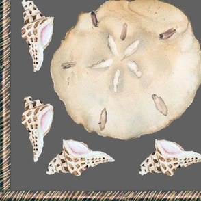 sand dollars and freckled shells by carrie currie -1