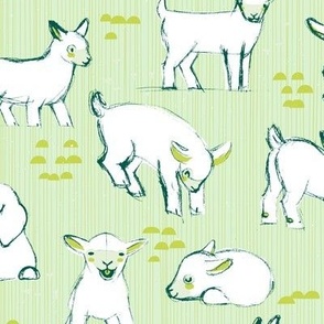 Baby Goats 23 M+M Mint Large by Friztin
