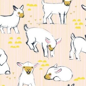 Baby Goats 23 M+M Sorbet Large by Friztin