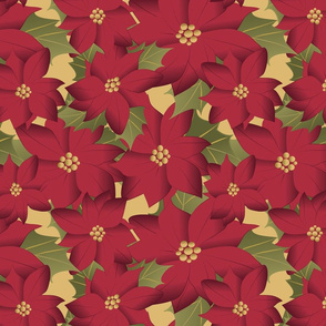 Poinsettia on yellow