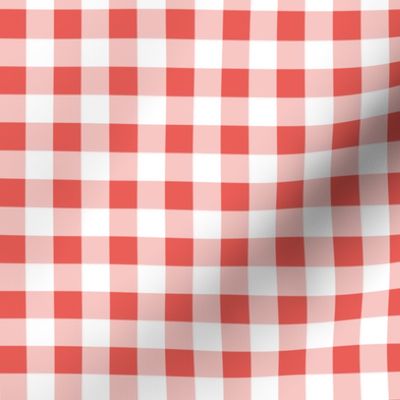 gingham coral  and white | small