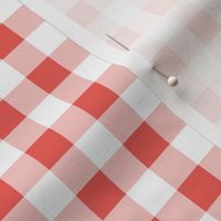 gingham coral  and white | small