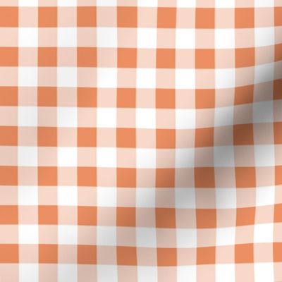 gingham peach and white | small