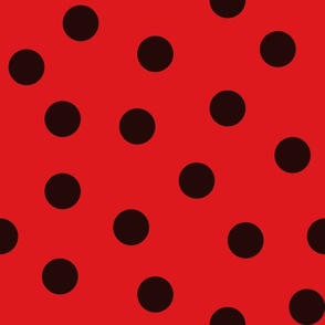 Ladybug Random Dot Pattern