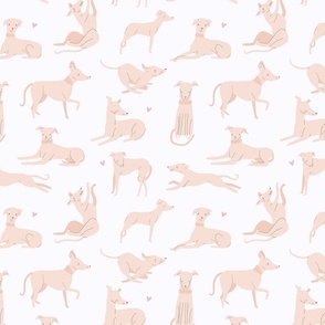 Beautiful design with hand drawn Dogs in a pastel pink colour