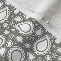 Small Scale Playful Paisley White on Pewter Grey