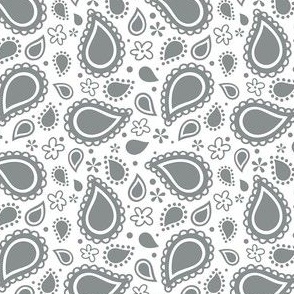 Small Scale Playful Paisley Pewter Grey on White