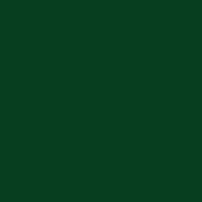 Solid British Racing Green #093d1f