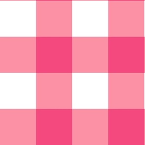 Large, Pink Country Girl Gingham