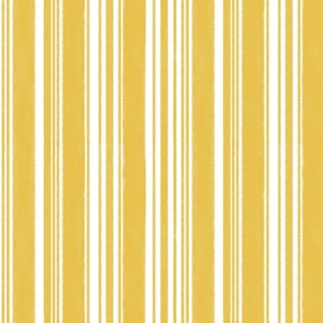 Golden Lemon yellow barcode stripe (medium scale)