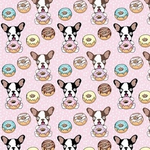 Donuts and Boston Terrier Dogs 