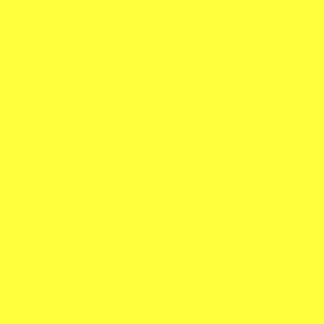Bright Lemon Yellow - Solid - Florescent Fun