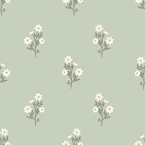 Cute daisies on a pastel green background