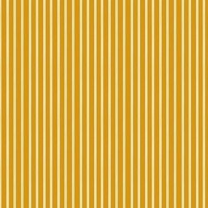 Fall in love gold stripe 1.45x1.45