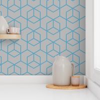 Hexagon Trellis - blue on grey