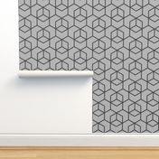 Hexagon trellis - charcoal on grey