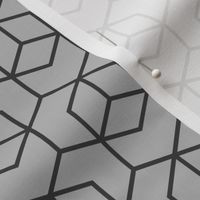 Hexagon trellis - charcoal on grey