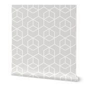 Hexagon trellis - white on pale grey