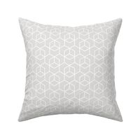 Hexagon trellis - white on pale grey