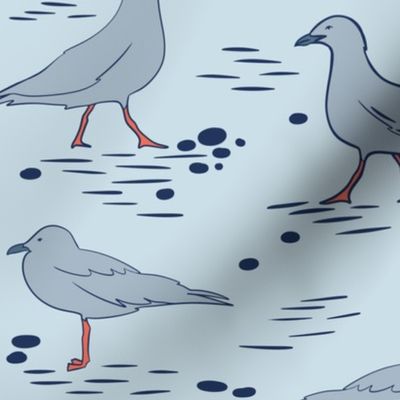 Grey Seagulls on Coastal Blue Background
