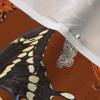 Butterfly Damask Stripe on Chestnut Brown