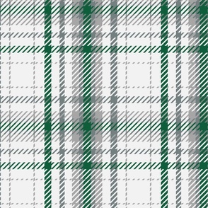 Light Gray and Green Plaid Twill
