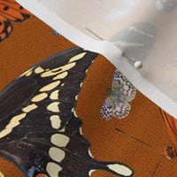 Butterfly Damask Stripe on Fine Lined Chestnut Brown