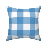 Gingham Blue_Large