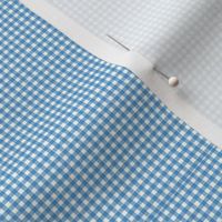 Gingham Blue Linen_Texture