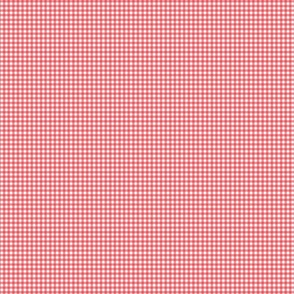 Gingham Red_Texture 